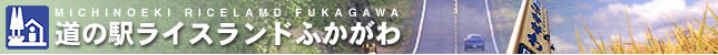 CXhӂ